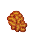 SUN BLOOM