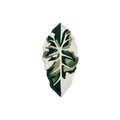 WINTER LEAF